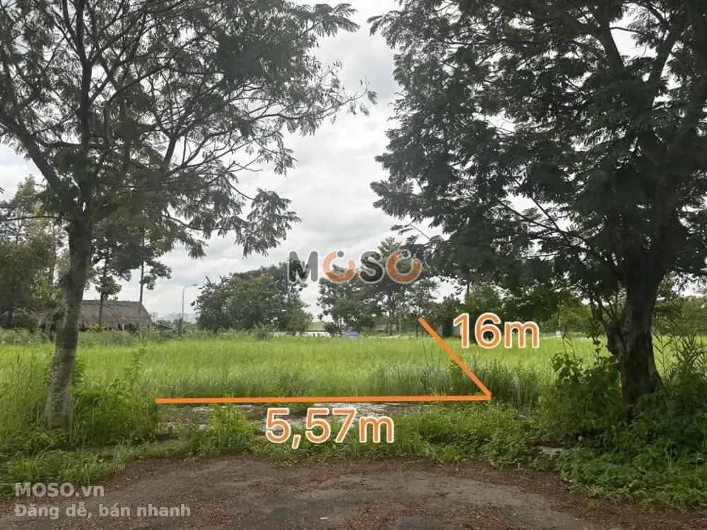 Bán đất Đường Số 06 Thành phố Thủ Đức, TP.HCM – giá 7 tỷ - ảnh 1