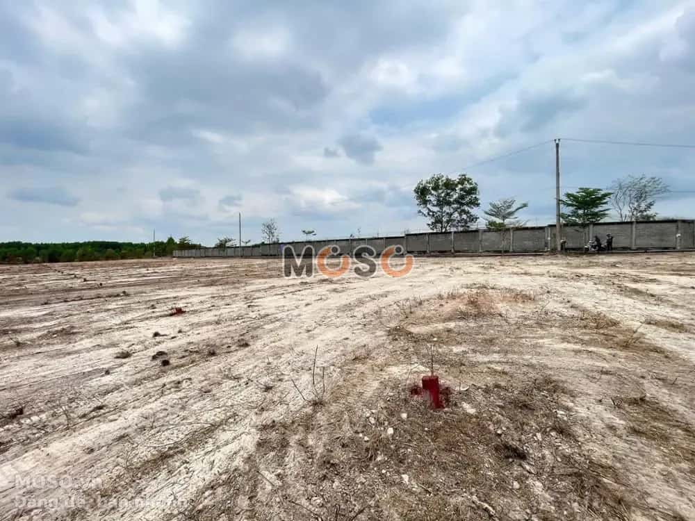 Bán đất Huyện Long Thành, Đồng Nai – giá 1.3 tỷ - ảnh 4