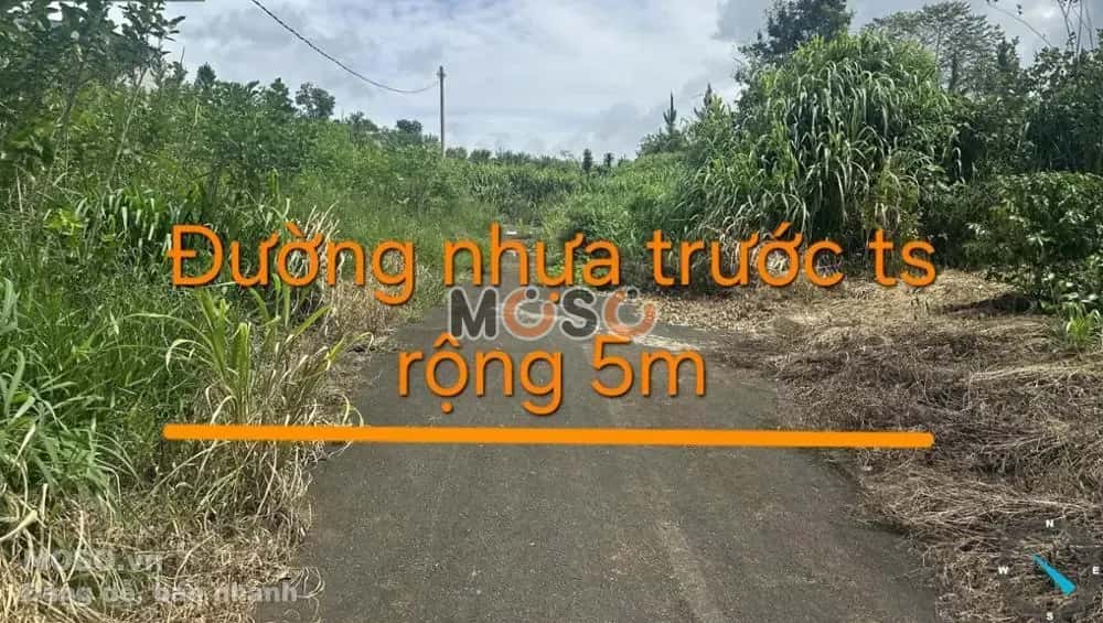Bán đất Huyện Bảo Lâm, Lâm Đồng – giá 506 triệu - ảnh 2