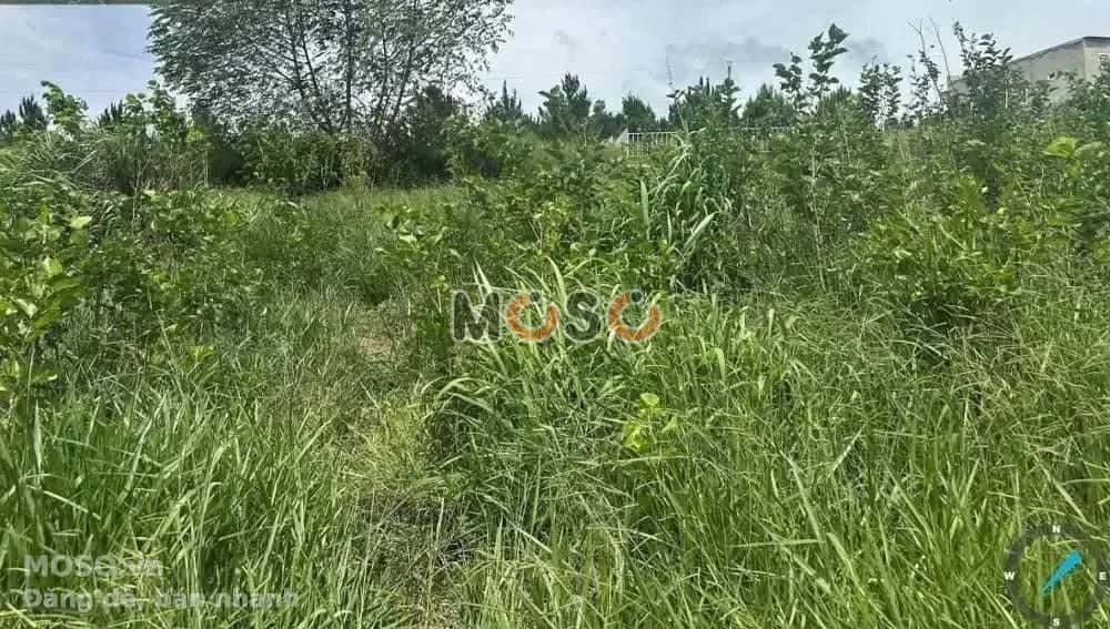 Bán đất Huyện Bảo Lâm, Lâm Đồng – giá 559 triệu - ảnh 4