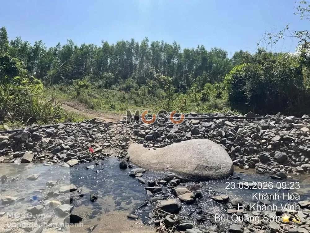 Bán đất Huyện Khánh Vĩnh, Khánh Hòa – giá 5.3 tỷ - ảnh 6
