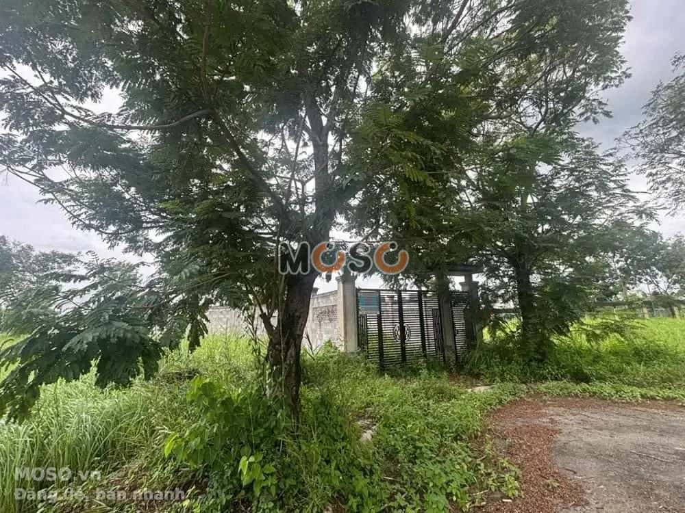 Bán đất Đường Số 06 Thành phố Thủ Đức, TP.HCM – giá 7 tỷ - ảnh 4