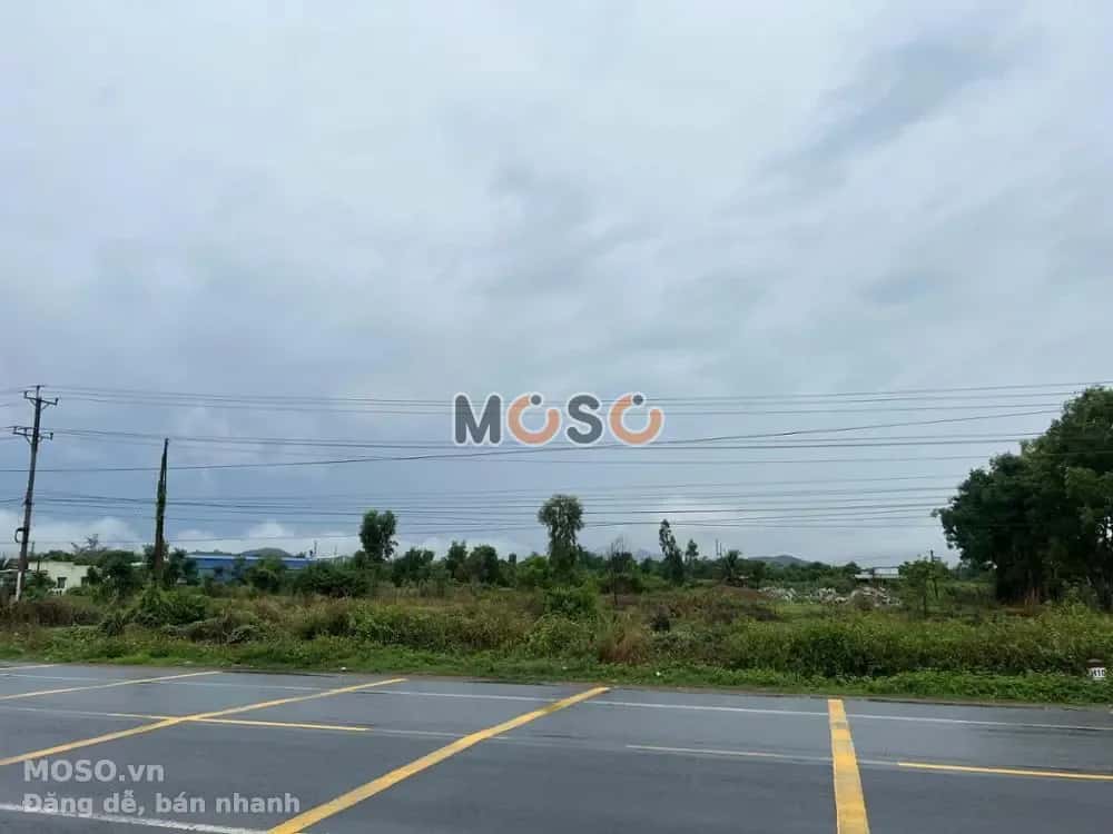 Bán đất Quốc lộ 1A Huyện Hàm Thuận Nam, Bình Thuận – giá 9 tỷ - ảnh 5