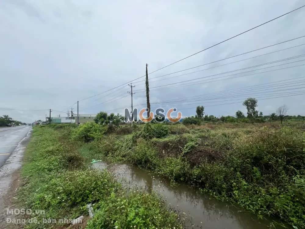 Bán đất Quốc lộ 1A Huyện Hàm Thuận Nam, Bình Thuận – giá 9 tỷ - ảnh 4