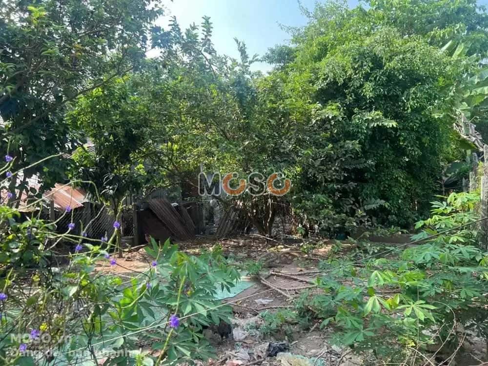 Bán đất Huyện Lai Vung, Đồng Tháp – giá 308 triệu - ảnh 4