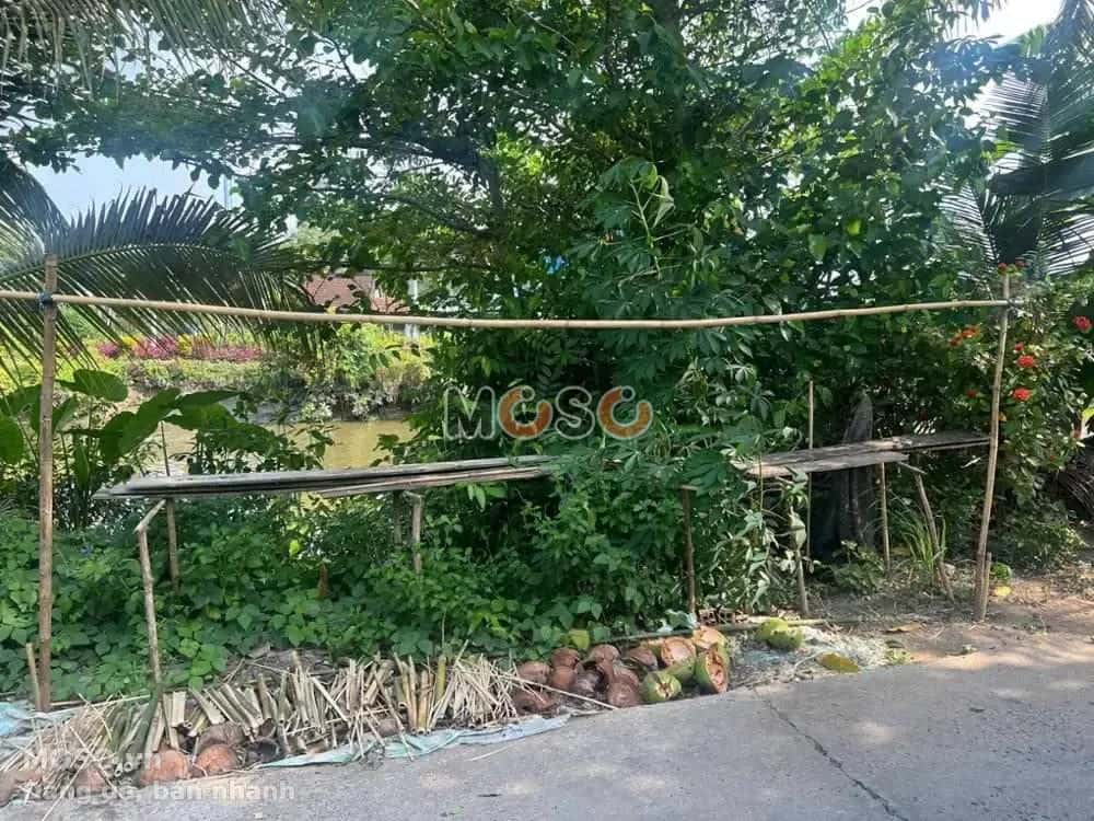 Bán đất Huyện Lai Vung, Đồng Tháp – giá 308 triệu - ảnh 5