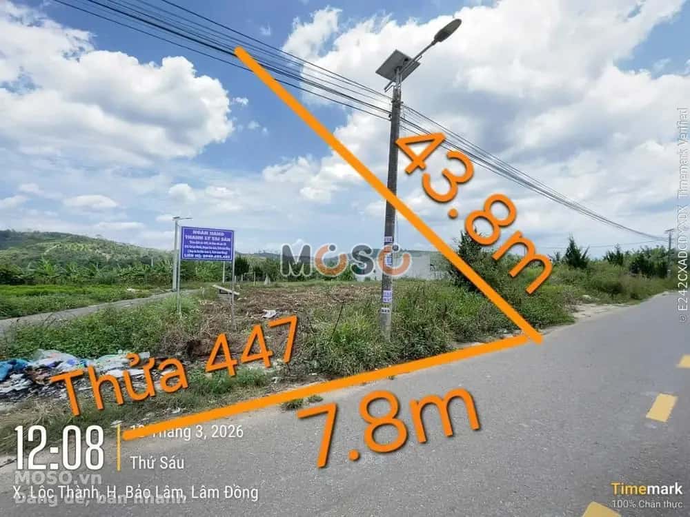Bán đất TĐS 447 TBĐ 26 Huyện Bảo Lâm, Lâm Đồng – giá 965 triệu - ảnh 3