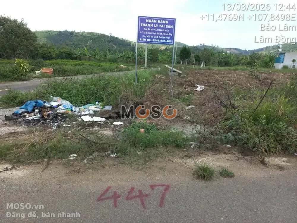Bán đất TĐS 447 TBĐ 26 Huyện Bảo Lâm, Lâm Đồng – giá 965 triệu - ảnh 2
