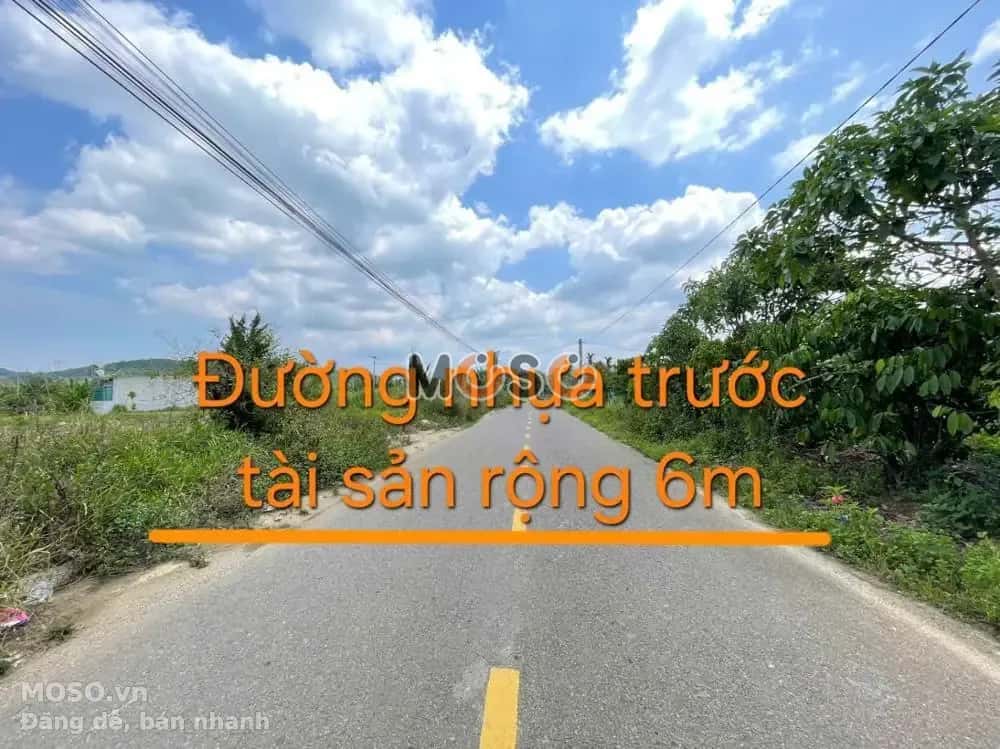 Bán đất TĐS 447 TBĐ 26 Huyện Bảo Lâm, Lâm Đồng – giá 965 triệu - ảnh 4