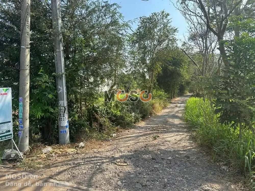 Bán đất Đường tỉnh 763 Huyện Xuân Lộc, Đồng Nai – giá 5.7 tỷ - ảnh 4