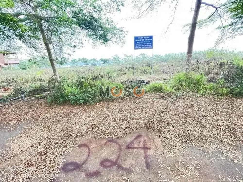 Bán đất Unnamed Huyện Đơn Dương, Lâm Đồng – giá 552 triệu - ảnh 3