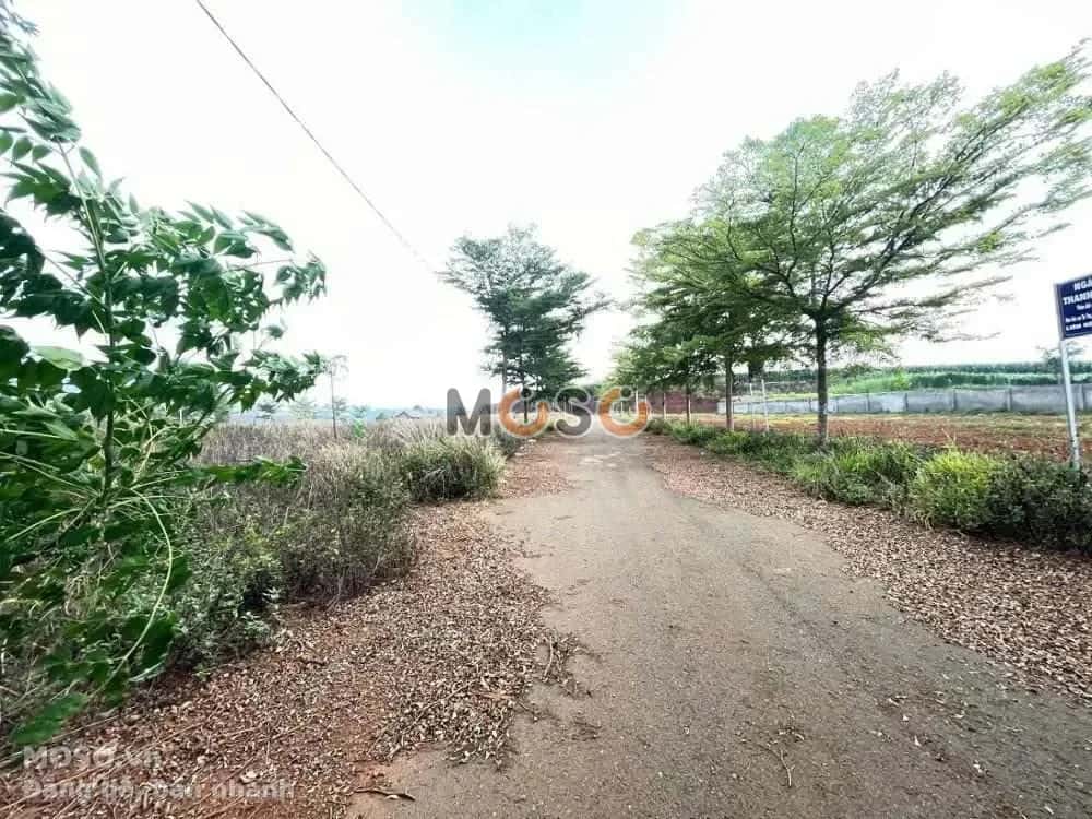 Bán đất Unnamed Huyện Đơn Dương, Lâm Đồng – giá 552 triệu - ảnh 4