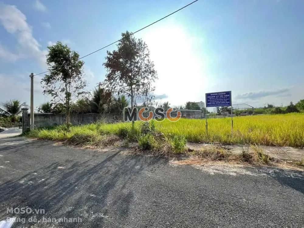 Bán đất Quốc lộ 50 Huyện Cần Đước, Long An – giá 727.1 triệu - ảnh 4