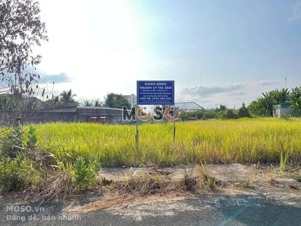 Bán đất Quốc lộ 50 Huyện Cần Đước, Long An – giá 727.1 triệu - ảnh 5