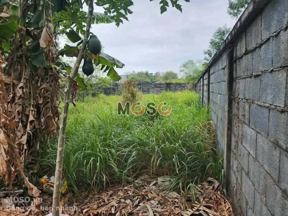Bán đất Khu phố Đông Thành Thị xã Dĩ An, Bình Dương – giá 2.9 tỷ - ảnh 3