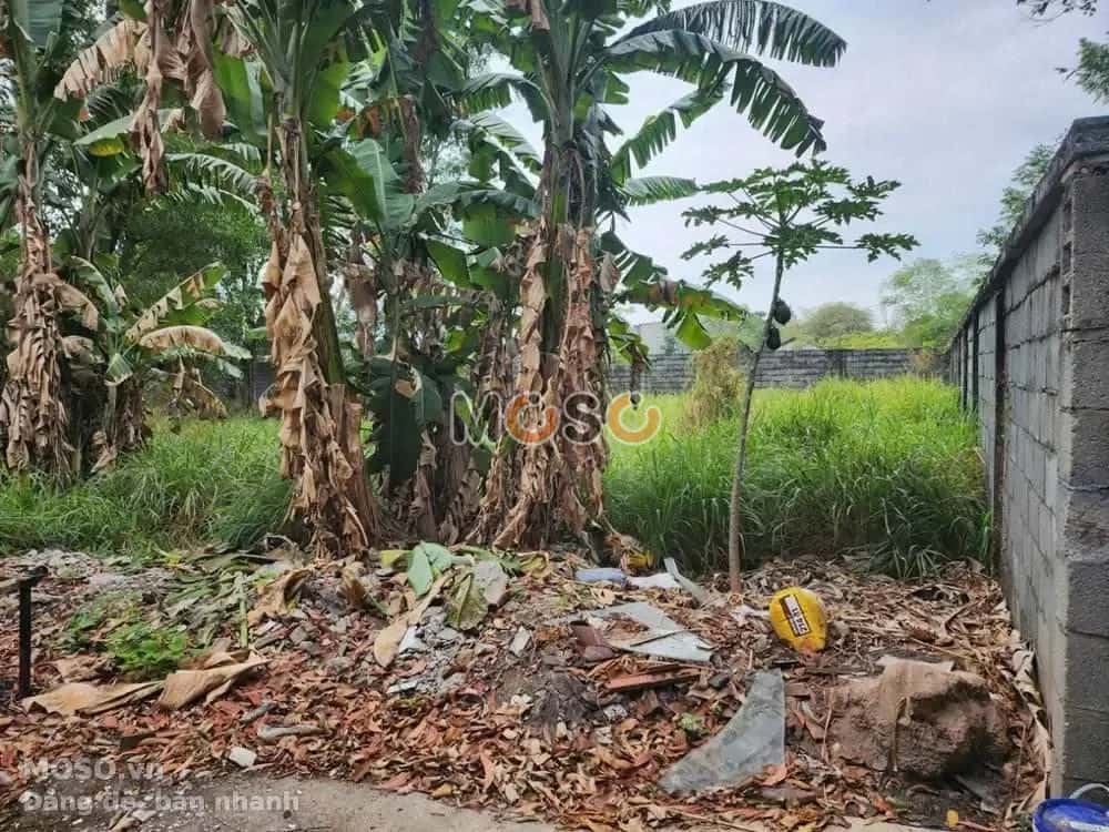 Bán đất Khu phố Đông Thành Thị xã Dĩ An, Bình Dương – giá 2.9 tỷ - ảnh 4