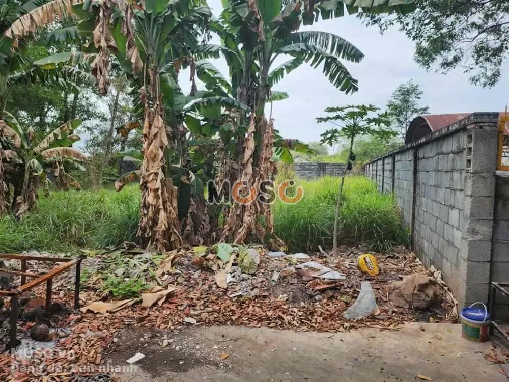 Bán đất Khu phố Đông Thành Thị xã Dĩ An, Bình Dương – giá 2.9 tỷ - ảnh 5