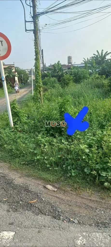Bán đất Hương lộ 2 Huyện Củ Chi, TP.HCM – giá 3 tỷ - ảnh 3