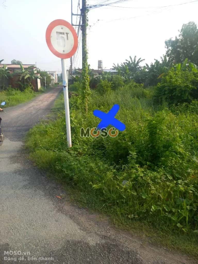 Bán đất Hương lộ 2 Huyện Củ Chi, TP.HCM – giá 3 tỷ - ảnh 8