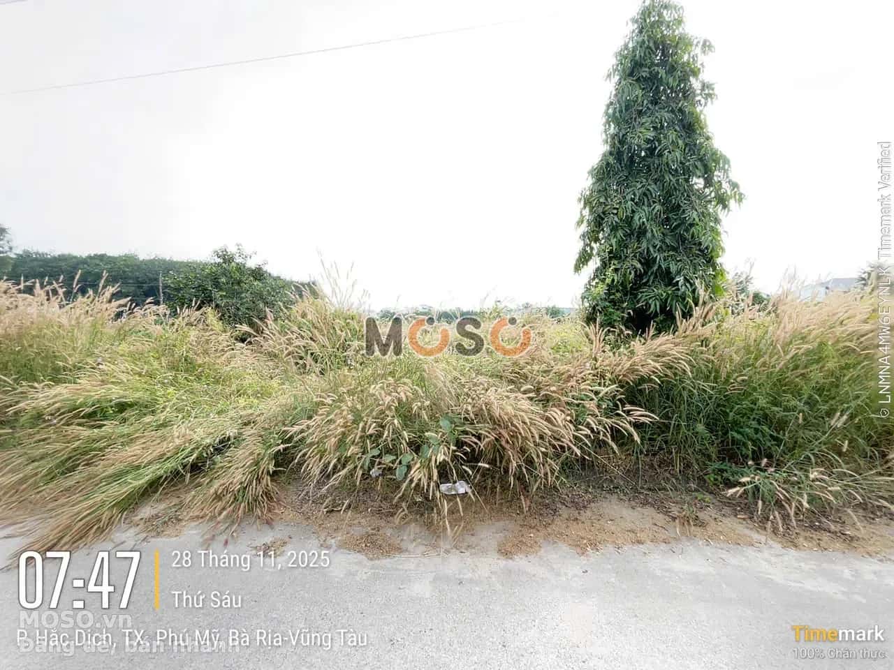 Bán đất KP Suối Nhum Phú Mỹ, BRVT – giá 927.5 triệu - ảnh 2
