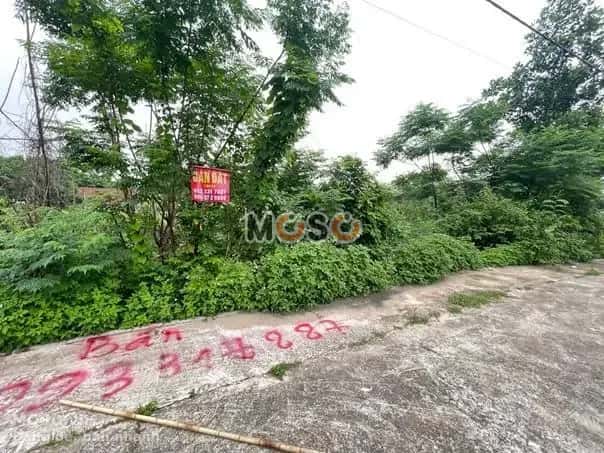 Bán đất Huyện Quế Võ, Bắc Ninh – giá 1.1 tỷ - ảnh 5