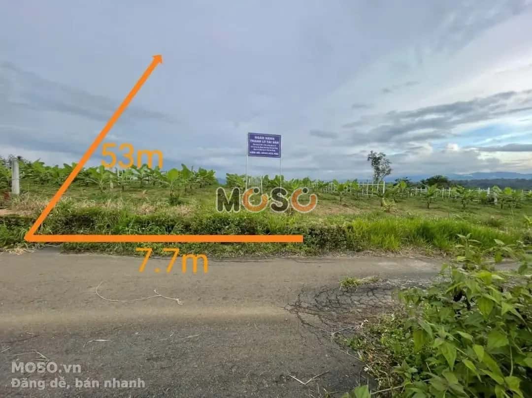 Bán đất Huyện Bảo Lâm, Lâm Đồng – giá 473 triệu - ảnh 1
