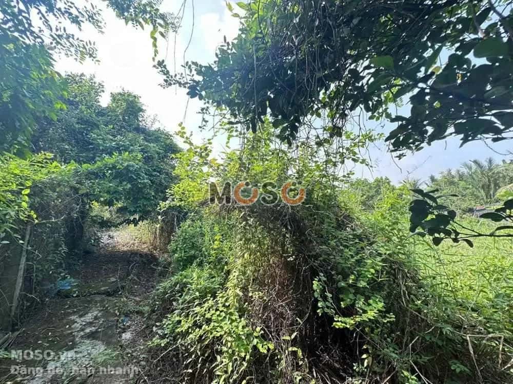 Bán nhà hẻm Huyện Châu Thành, Long An – giá 4.7 tỷ - ảnh 4