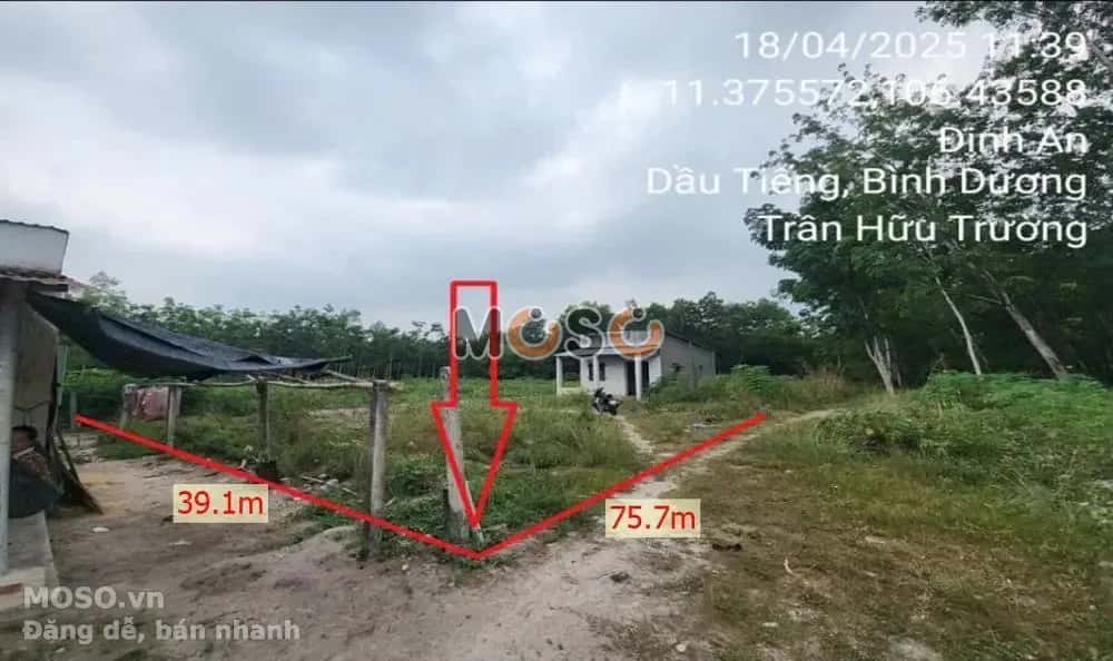 Bán đất X. Định An Huyện Dầu Tiếng, Bình Dương – giá 1.6 tỷ - ảnh 1