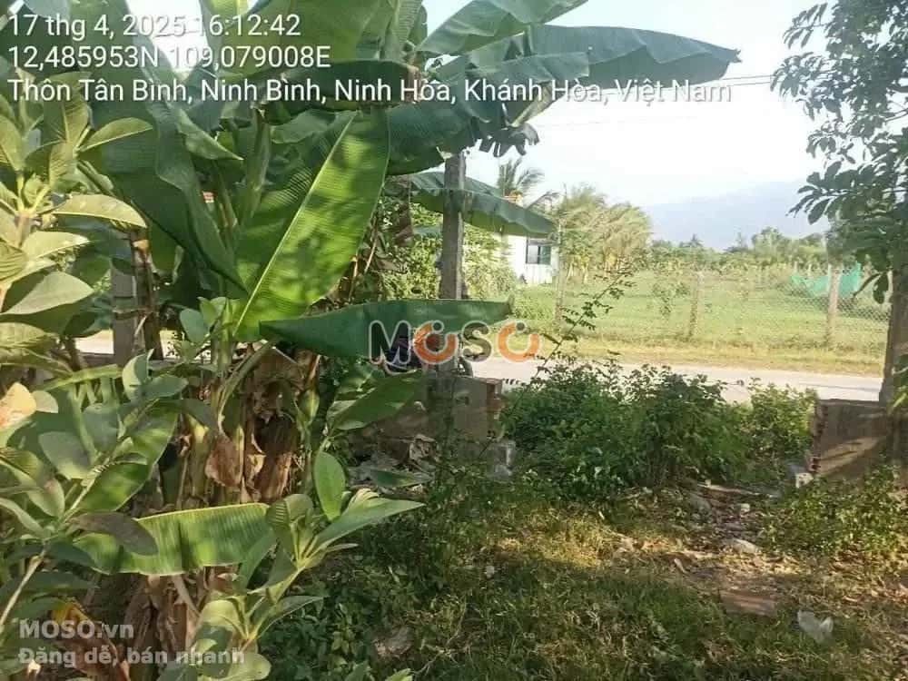 Bán đất Thôn Tân Bình Thị xã Ninh Hòa, Khánh Hòa – giá 466 triệu - ảnh 4