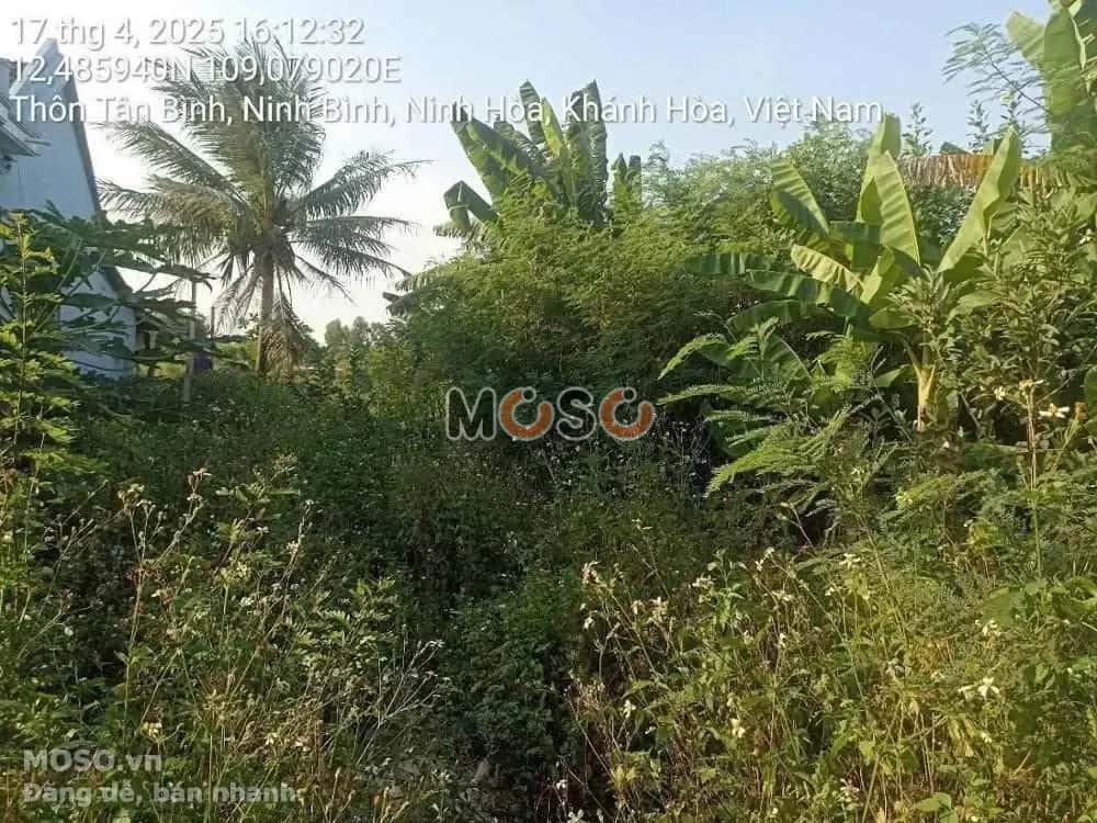 Bán đất Thôn Tân Bình Thị xã Ninh Hòa, Khánh Hòa – giá 466 triệu - ảnh 5