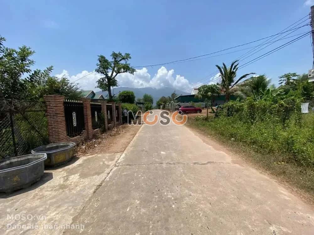 Bán đất Thị xã Ninh Hòa, Khánh Hòa – giá 1.8 tỷ - ảnh 5