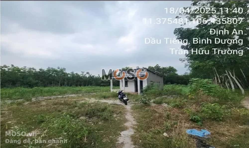 Bán đất X. Định An Huyện Dầu Tiếng, Bình Dương – giá 1.6 tỷ - ảnh 2