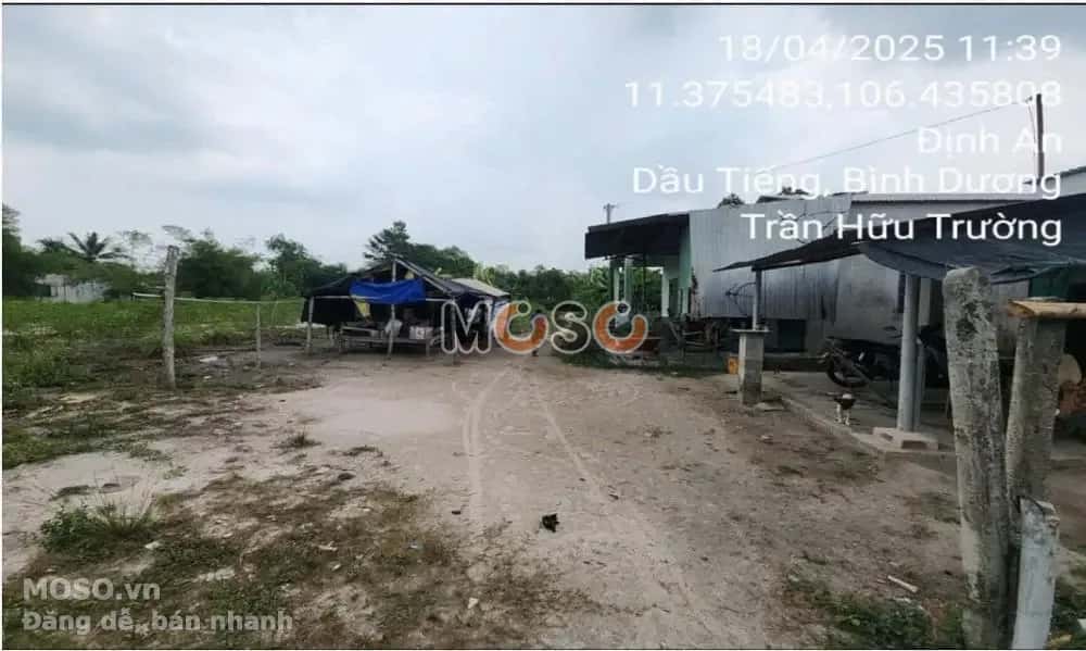 Bán đất X. Định An Huyện Dầu Tiếng, Bình Dương – giá 1.6 tỷ - ảnh 3