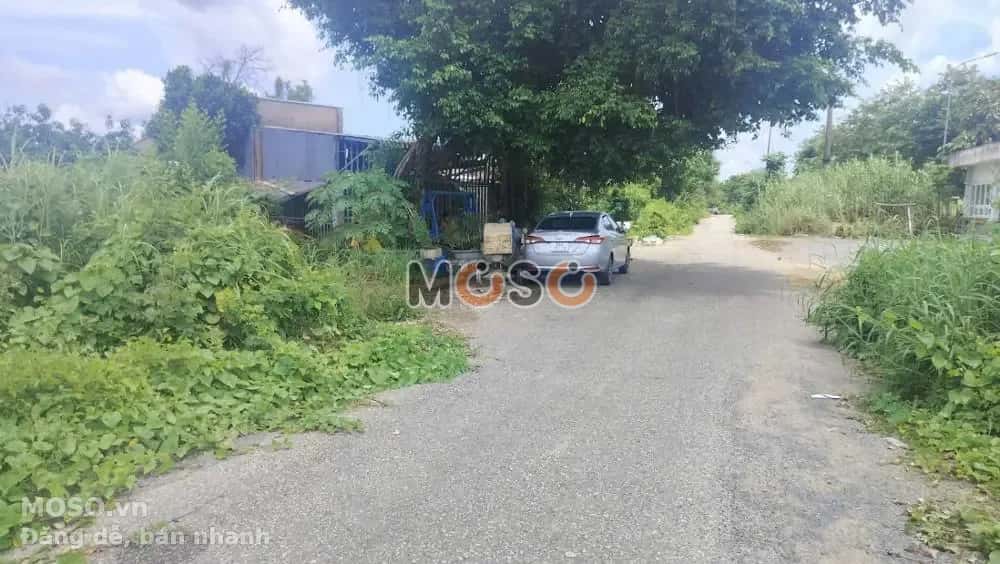 Bán đất Huyện Cao Lãnh, Đồng Tháp – giá 1.2 tỷ - ảnh 2