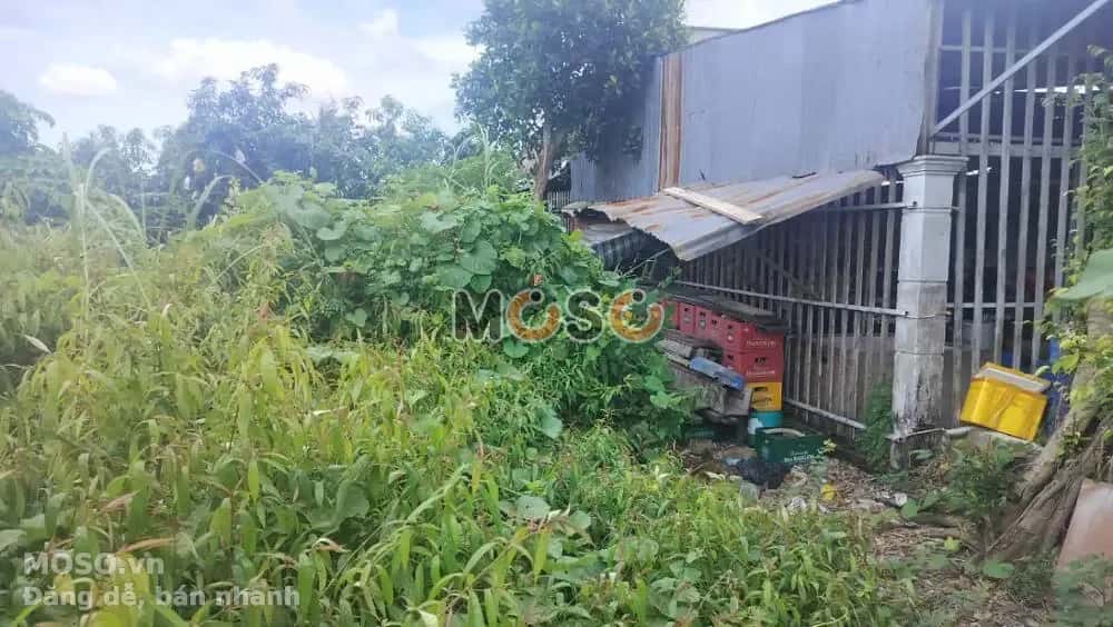 Bán đất Huyện Cao Lãnh, Đồng Tháp – giá 1.2 tỷ - ảnh 5