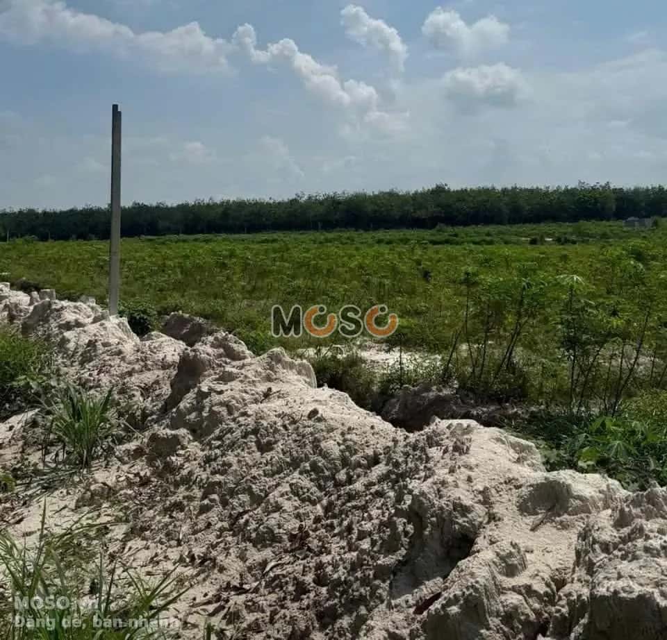 Bán đất Huyện Dầu Tiếng, Bình Dương – giá 1.9 tỷ - ảnh 3