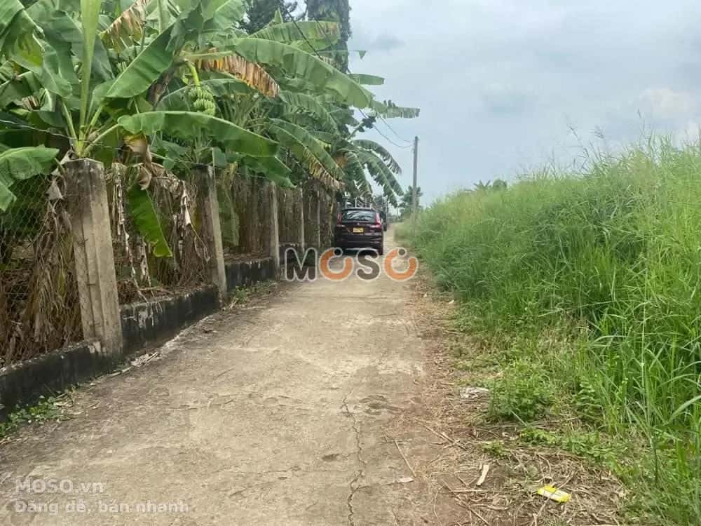 Bán đất Chùa Vạn Thọ Huyện Trảng Bom, Đồng Nai – giá 1.6 tỷ - ảnh 5