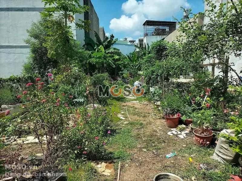 Bán đất Bình Thành Quận Bình Tân, TP.HCM – giá 22.4 tỷ - ảnh 4