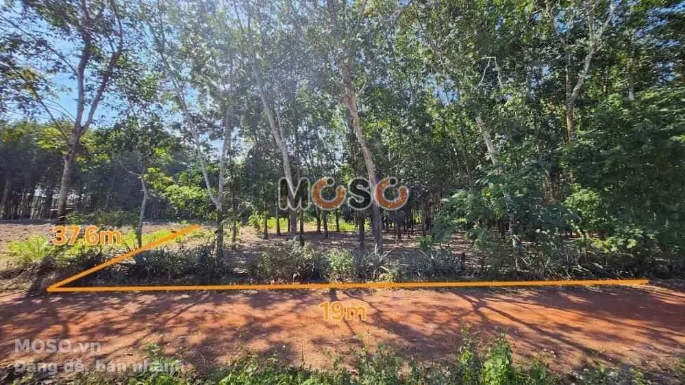 Bán đất An Bình Huyện Phú Giáo, Bình Dương – giá 936 triệu - ảnh 1