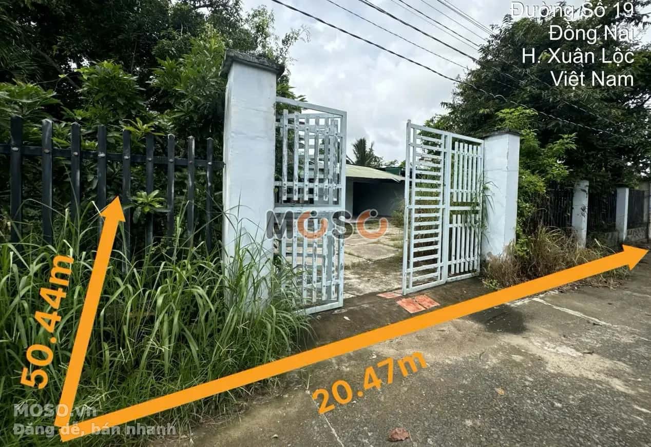 Bán nhà hẻm Tà Lú Huyện Xuân Lộc, Đồng Nai – giá 2.3 tỷ - ảnh 1