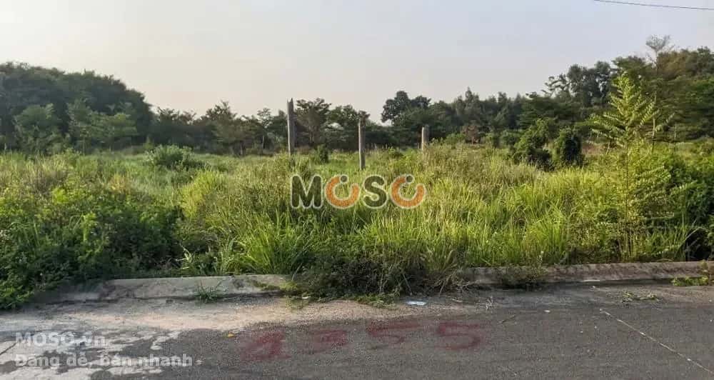 Bán đất Khu Công Nghiệp Giang Điền Huyện Trảng Bom, Đồng Nai – giá 789 triệu - ảnh 4