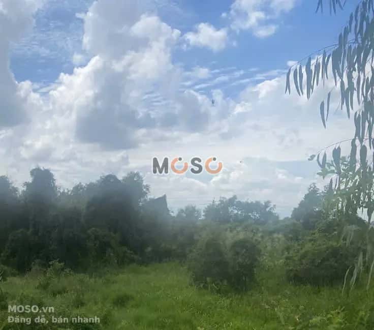 Bán đất Huyện Mộc Hóa, Long An – giá 2.3 tỷ - ảnh 6