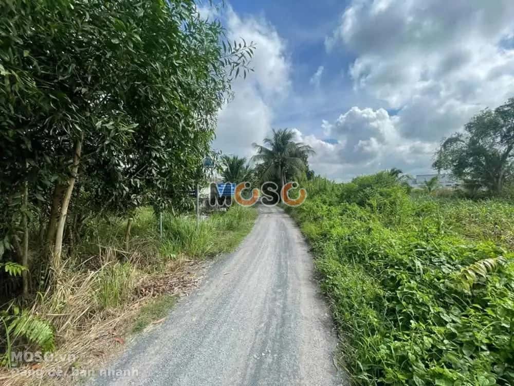 Bán đất Huyện Bến Lức, Long An – giá 699 triệu - ảnh 5