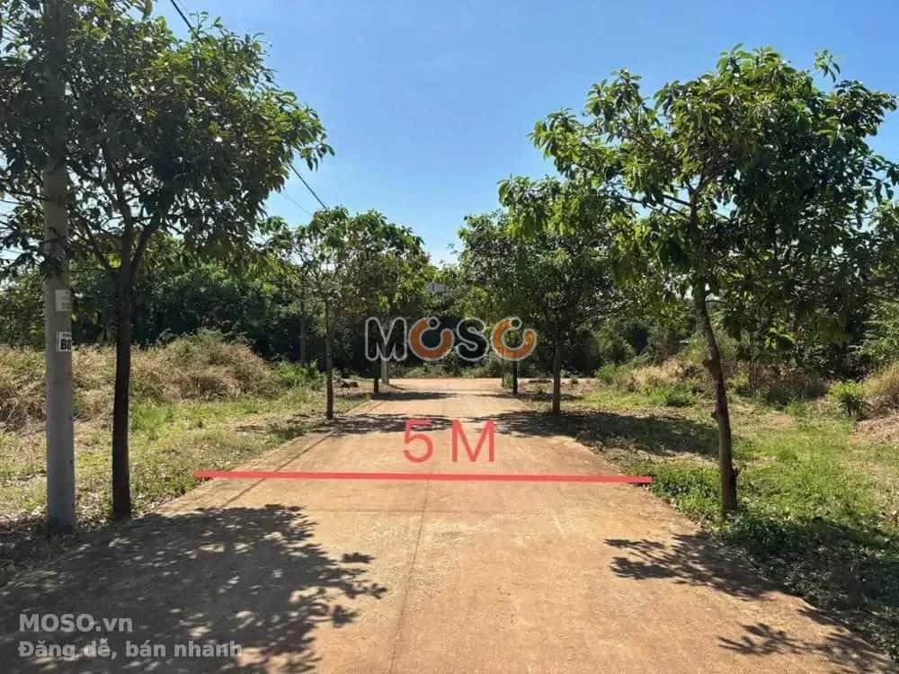 Bán đất Đường Nguyễn Thông Thị xã Phước Long, Bình Phước – giá 138 triệu - ảnh 2