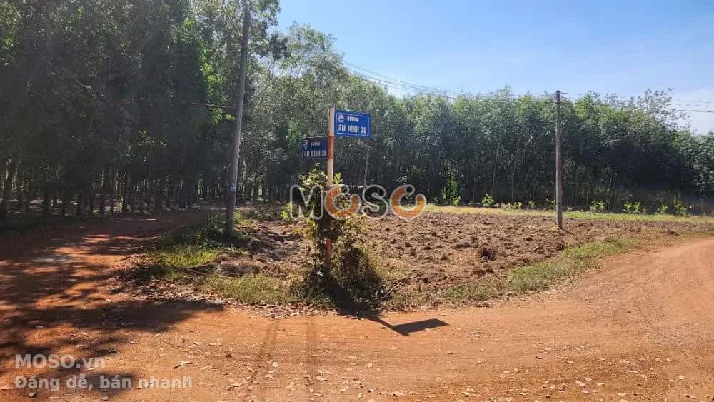 Bán đất An Bình Huyện Phú Giáo, Bình Dương – giá 936 triệu - ảnh 4