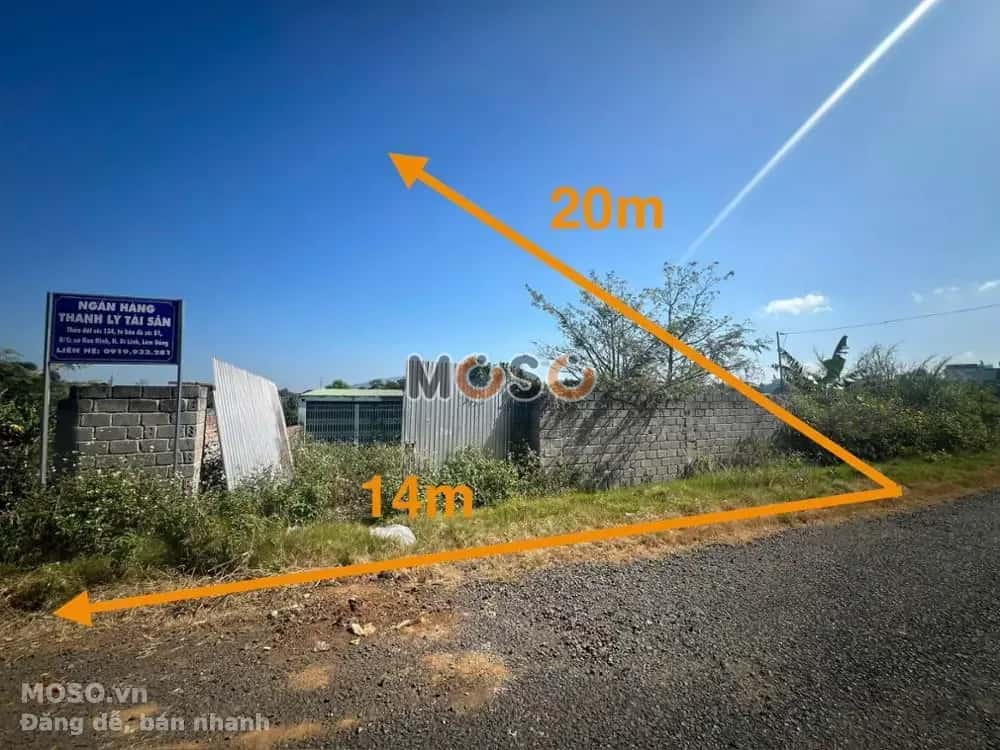 Bán đất Quốc lộ 20 Huyện Di Linh, Lâm Đồng – giá 1.3 tỷ - ảnh 5