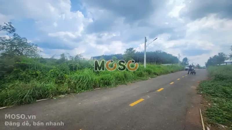 Bán đất Huyện Bù Đăng, Bình Phước – giá 296.3 triệu - ảnh 3