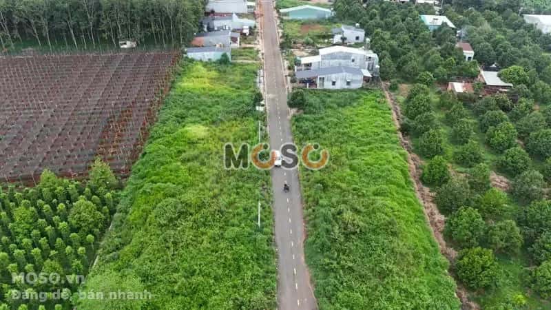 Bán đất Huyện Bù Đăng, Bình Phước – giá 296.3 triệu - ảnh 5