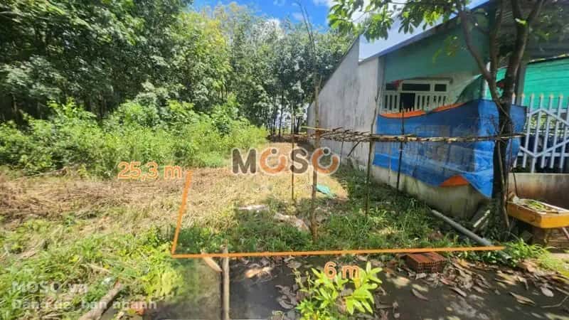 Bán đất Thị xã Phước Long, Bình Phước – giá 131.8 triệu - ảnh 1