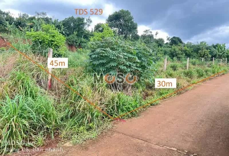 Bán đất Đông Thanh Huyện Lâm Hà, Lâm Đồng – giá 1.2 tỷ - ảnh 1